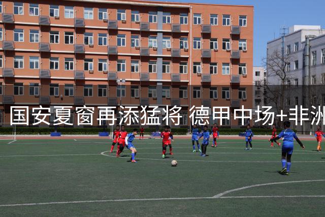 国安夏窗再添猛将 德甲中场+非洲锋霸专攻亚冠赛场