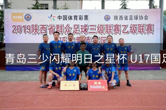 青岛三少闪耀明日之星杯 U17国足与英超豪门共享冠军荣耀